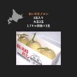 画像1: おいわけメロン3玉入り　【大玉】　5.1キロ (1)