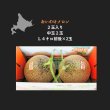 画像1: おいわけメロン2玉入り　【中玉】　2.8キロ (1)