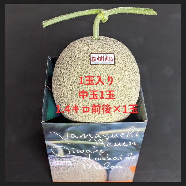 画像1: おいわけメロン１玉入り　【中玉】　1.4キロ (1)