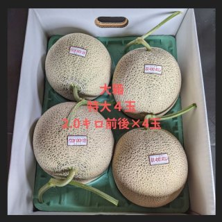 贈り物ギフトにメロン専門店｜山口農園 MELON HOUSE｜北海道から