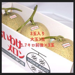 贈り物ギフトにメロン専門店｜山口農園 MELON HOUSE｜北海道から
