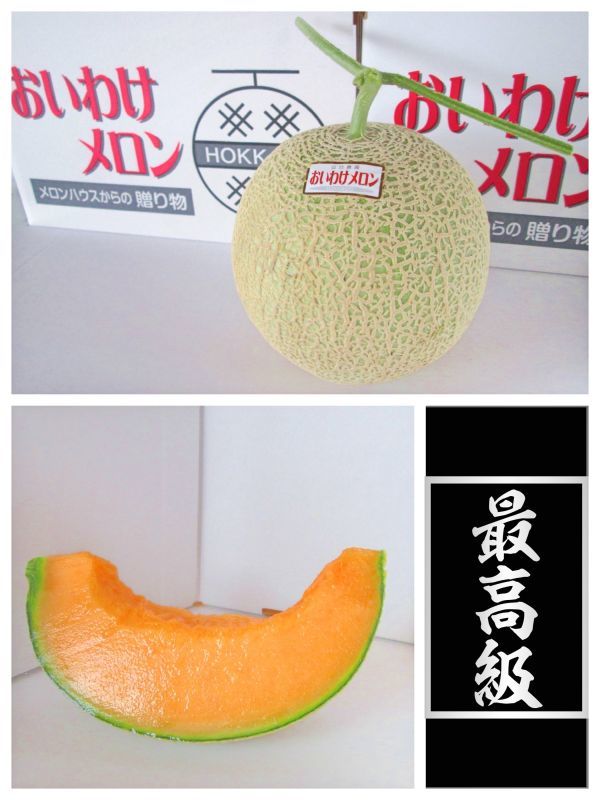 おいわけメロン2玉入り 中サイズ 3 6キロ 贈り物ギフトにメロン専門店 山口農園 Melon House 北海道から産地直送